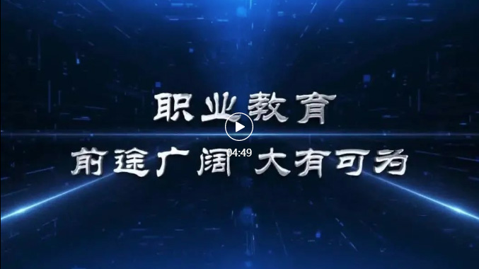 视频：党的十八大以来职业教育改革发展成效